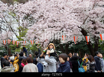 Tokyo, Giappone. 30 Mar, 2019. Persone passeggiata sotto completamente fiorì Fiori Ciliegio al Parco di Ueno a Tokyo il sabato 30 marzo, 2019. Credito: Yoshio Tsunoda/AFLO/Alamy Live News Foto Stock