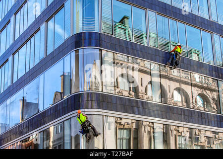 Gruppo di lavoratori di pulizia il servizio di Windows su un alto edificio Foto Stock