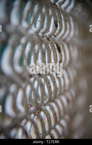 Recinti - Profondità di campo opinioni Foto Stock