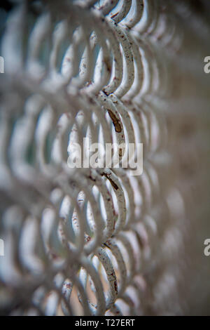 Recinti - Profondità di campo opinioni Foto Stock