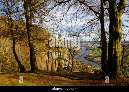 Kinnoull Hill, Perth, Scozia Primavera 2019 Foto Stock