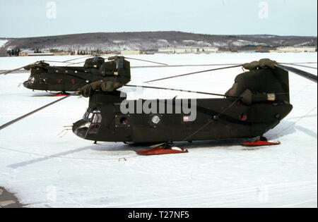 Esercito USA / Stati Uniti esercito Boeing CH-47 Chinook Foto Stock