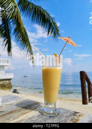 Mango fresco agitare e un albero di cocco sullo sfondo e cielo blu Foto Stock