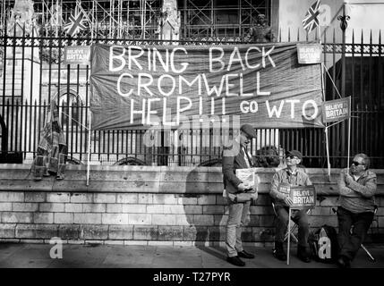 Pro Brexit marzo 29/3/2019 manifestanti seduto fuori le case del Parlamento, Westminster, Londra, Regno Unito Foto Stock