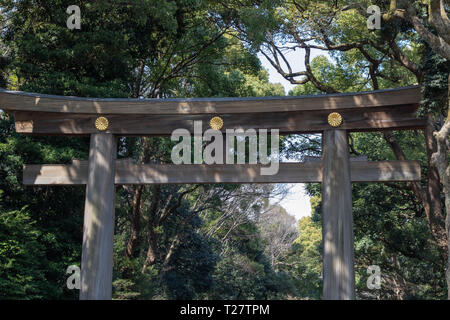 Torri di Gate Meiji-Jingu santuario è creduto per separare il mondo fisico della città & mondo spirituale della foresta creata in memoria della coppia reale. Foto Stock