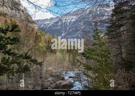 Fiume in Cotatuero burrone in Ordesa Ordesa e Monte Perido National Park, Aragón, Huesca, Spagna. Foto Stock