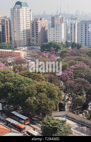 Vista dal tetto del centro di Sao Paulo mostra cityscape di grattacieli e alberi in luglio 5, 2018 in Sao Paulo, Brasile. Foto Stock