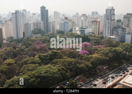 Vista in elevazione dal tetto mostra il centro di Sao Paulo cityscape di grattacieli e alberi in luglio 5, 2018 in Sao Paulo, Brasile. Foto Stock