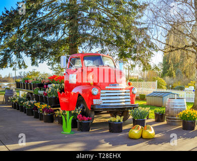 Clackamas County, Oregon - Marzo 31, 2019 : Scena di scarpa in legno Tulip Festival di Primavera Foto Stock