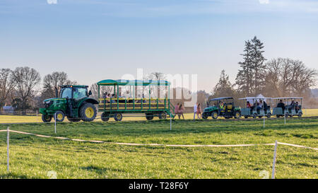 Clackamas County, Oregon - Marzo 31, 2019 : Scena di scarpa in legno Tulip Festival di Primavera Foto Stock