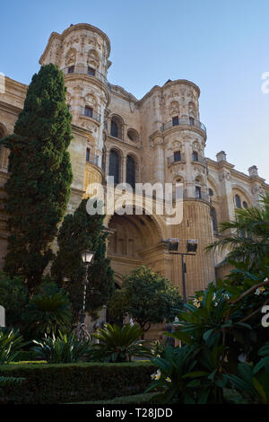 Cattedrale di Malaga. (Catedral de la Encarnación). Andalusia, Spagna. Foto Stock