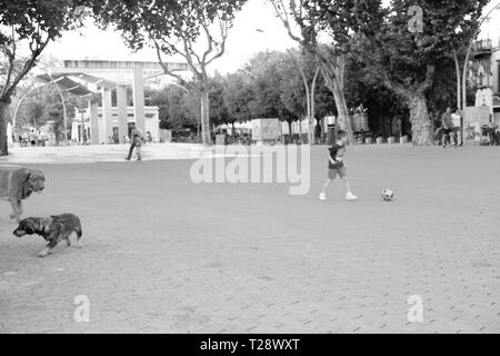 Cani e bambini che giocano sulla strada Foto Stock