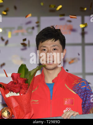 Doha in Qatar. 31 Mar, 2019. Ma a lungo della Cina pone sul podio dopo aver vinto il uomini singoli match finale contro Lin Gaoyuan della Cina al mondo ITTF Tour Platinum Qatar aperto nella capitale del Qatar Doha il 31 marzo 2019. Ma a lungo ha vinto 4-2 e rivendicato il titolo. Credito: Nikku/Xinhua/Alamy Live News Foto Stock