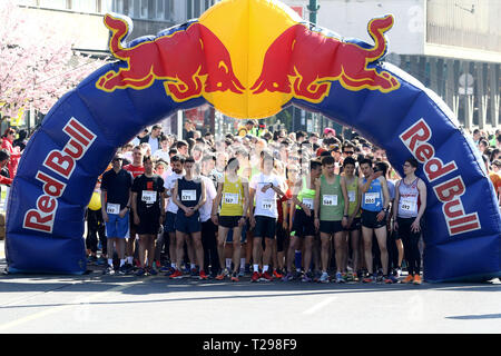 Sarajevo. 31 Mar, 2019. La gente a prendere parte in un contesto internazionale gara di corsa a Sarajevo, Bosnia ed Erzegovina (BiH) il 31 marzo 2019. Credito: Nedim Grabovica/Xinhua/Alamy Live News Foto Stock