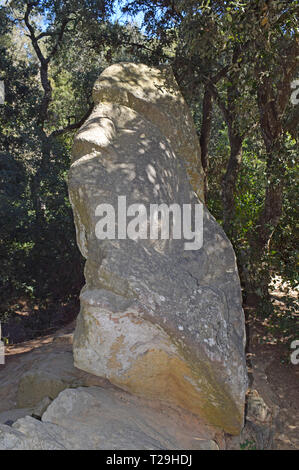 La foresta incantata di Orrius a Barcellona Foto Stock