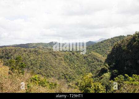 Tree pendii coperti di St Lucia, Caraibi Foto Stock