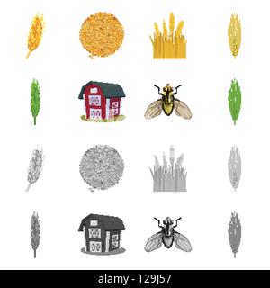 Molla,l'orzo,granaio,volare,spike,semi,costruzione,insetti,frumento,crop,l'inverno,l'industria,pest,farina,pane,terra,autunno,controllo, seme,cereali,cornfield,eco,stop,l'orecchio,crusca,ali,campagna,capannone,insetticida,golden,l'agricoltura,agricoltura,segala,impianto,frumento, mais,grano raccolto,,agriturismo,campo,impostare,vettore,icona,immagine,isolato,raccolta,design,l'elemento,graphic,segno vettori vettore , Illustrazione Vettoriale