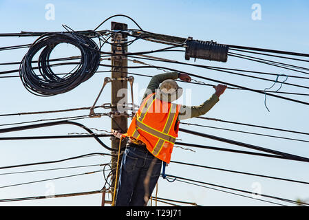 Elettrici Servizi di installazione, elettricista utilizza la spelafili per  rimuovere di isolamento dalla punta di ciascuno dei fili Foto stock - Alamy