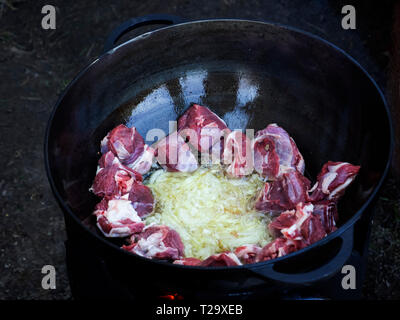 Per le cipolle arrosto nel calderone sono aggiunti pezzi di agnello, che vengono tostate per ottenere una crosta dorata. -Pilaf è realizzato a partire da carne di agnello o di manzo, riso, carota Foto Stock
