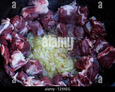 Per le cipolle arrosto nel calderone sono aggiunti pezzi di agnello, che vengono tostate per ottenere una crosta dorata. -Pilaf è realizzato a partire da carne di agnello o di manzo, riso, carota Foto Stock