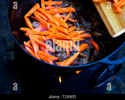 La carota viene aggiunto a stufato di agnello. -Pilaf è realizzato a partire da carne di agnello o di manzo, riso, le carote e le cipolle con spezie. È popolare non solo tra i popoli turche. Foto Stock
