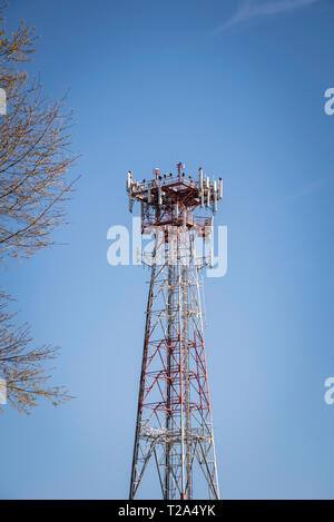 Una torre metallica indipendente per cellulare giustapposta con una porzione di albero e posta contro un cielo azzurro limpido e senza nuvole. Foto Stock