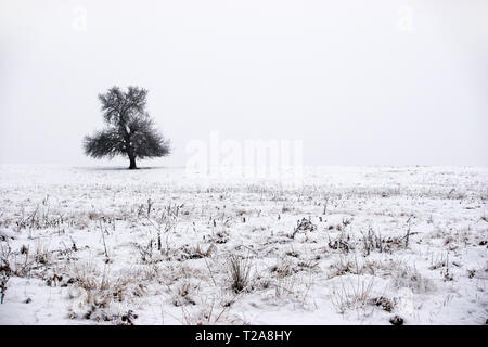 Scene Wimter intorno a Tirgu Mures città, Marosvasarhely, Transilvania, Romania Foto Stock