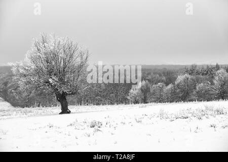 Scene Wimter intorno a Tirgu Mures città, Marosvasarhely, Transilvania, Romania Foto Stock