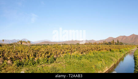 Scenic panorama di vigneti e Langeberg Mountains, Robertson Wine Valley, Western Cape Winelands, Route 62, Sud Africa con canale di irrigazione Foto Stock