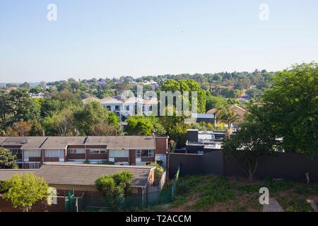 Alberi di Jacaranda di Hyde Park, Johannesburg, Sud Africa Foto Stock