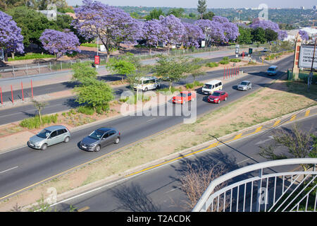 Alberi di Jacaranda di Hyde Park, Johannesburg, Sud Africa Foto Stock