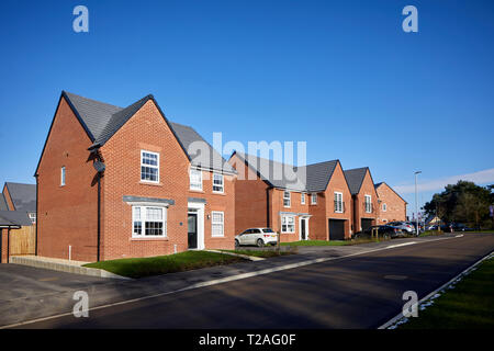 DAVID WILSON di nuove case costruite case al Black Firs Park, a Congleton nel Cheshire Foto Stock