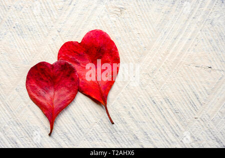 Cuore rosso foglie di forma Foto Stock