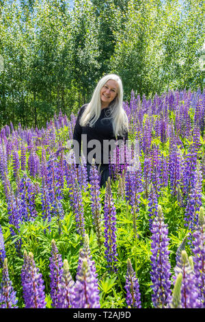 La donna nel campo di lupino in Sun Valley, Idaho, Stati Uniti d'America Foto Stock