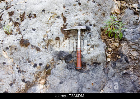 Martello geologico sulla roccia Foto Stock