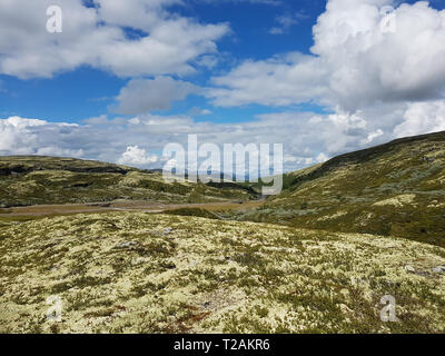 Rondane National Park in estate Foto Stock