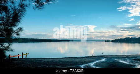 Dopo la tempesta una panoramica di mattina presto vista di riflessioni e trampolieri sul lago Illawarra, Koona Bay, Nuovo Galles del Sud, NSW, Australia Foto Stock