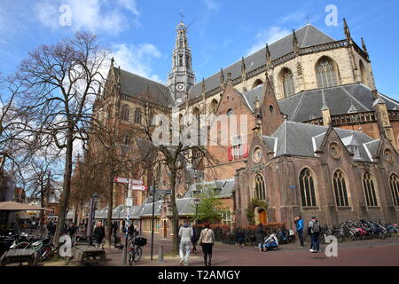 HAARLEM, Paesi Bassi - 24 Marzo 2019: gli ornati e colorata architettura di St Bavokerk chiesa (con sculture) Foto Stock