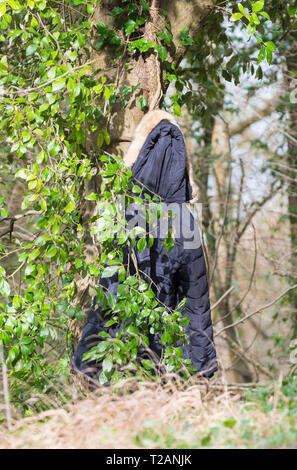 Abbandonato o perso il cappotto appeso a un albero nel bosco. Foto Stock