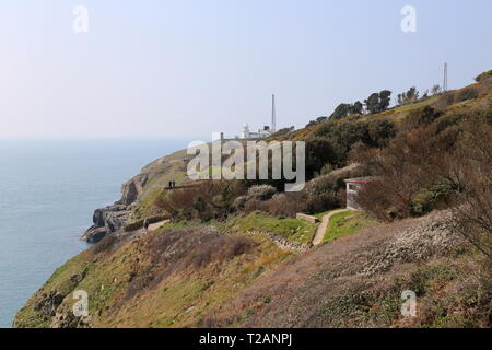 Sentiero costiero, Durlston Country Park, Swanage, Isle of Purbeck, Dorset, Inghilterra, Gran Bretagna, Regno Unito, Gran Bretagna, Europa Foto Stock