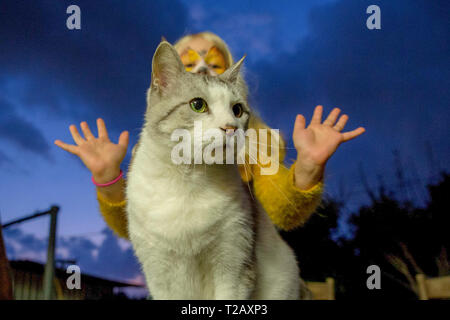 Ragazza giovane con tiger mask per il trucco sta cercando di spaventare il suo gatto prima di andare a una festa di Purim party. Modello rilasciato Foto Stock