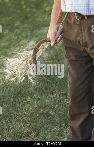 Uomo vecchio con un covone di grano e la falce in mano Foto Stock