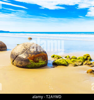 Moeraki boulders sulla spiaggia Koyokokha nella regione di Otago, Nuova Zelanda. Copia spazio per il testo Foto Stock