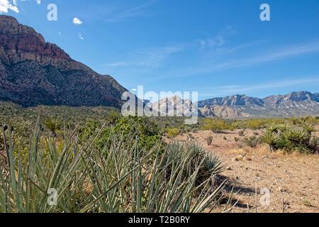 Vista sulle montagne in Red Rock Canyon Nature Conservancy Foto Stock