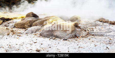 Hot Springs in Te Puia, Rotorua in Nuova Zelanda sull'Isola del nord. Con il fuoco selettivo Foto Stock