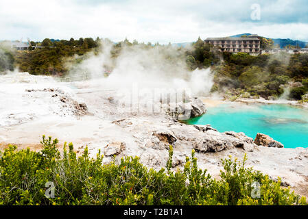 Hot Springs in Te Puia, Rotorua in Nuova Zelanda sull'Isola del nord Foto Stock