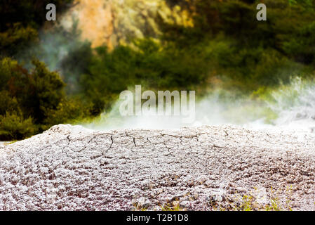 Hot Springs in Te Puia, Rotorua in Nuova Zelanda sull'Isola del nord. Con il fuoco selettivo Foto Stock
