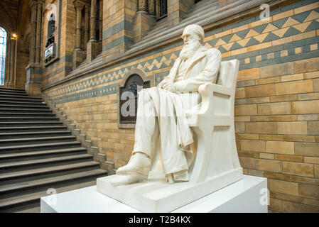 LONDON, Regno Unito - 22 Marzo 2019: la statua di Charles Darwin nel Museo di Storia Naturale è stata svelata nel 1885 sulla scala principale in Hintze Hall Foto Stock