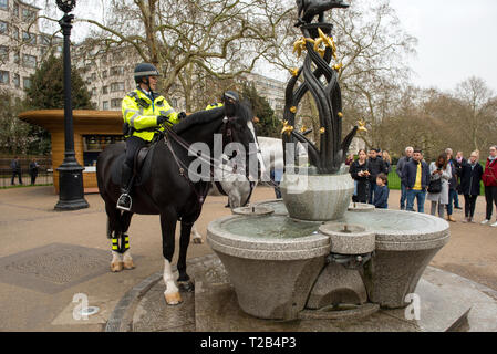 LONDON, Regno Unito - 22 Marzo 2019: poliziotta dalla Polizia Metropolitana di ramo montato in attesa mentre i loro cavalli di bere acqua da una fontana pubblica Foto Stock