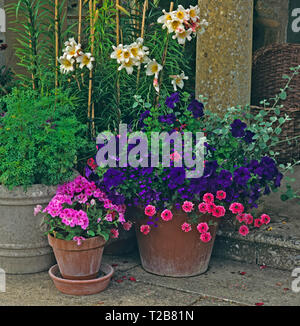Una terrazza in pietra con colouful piantato contenitori di Lillies, gerani e nella petunia Foto Stock